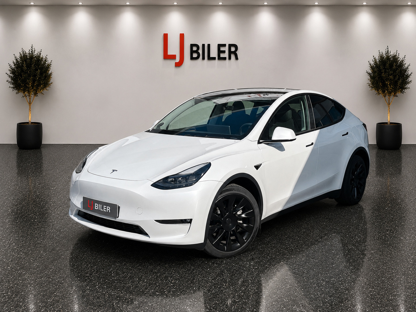 Tesla Model Y Long Range AWD