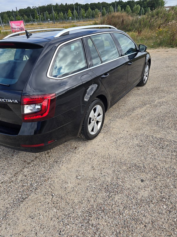 undefined Skoda Octavia fra 2020