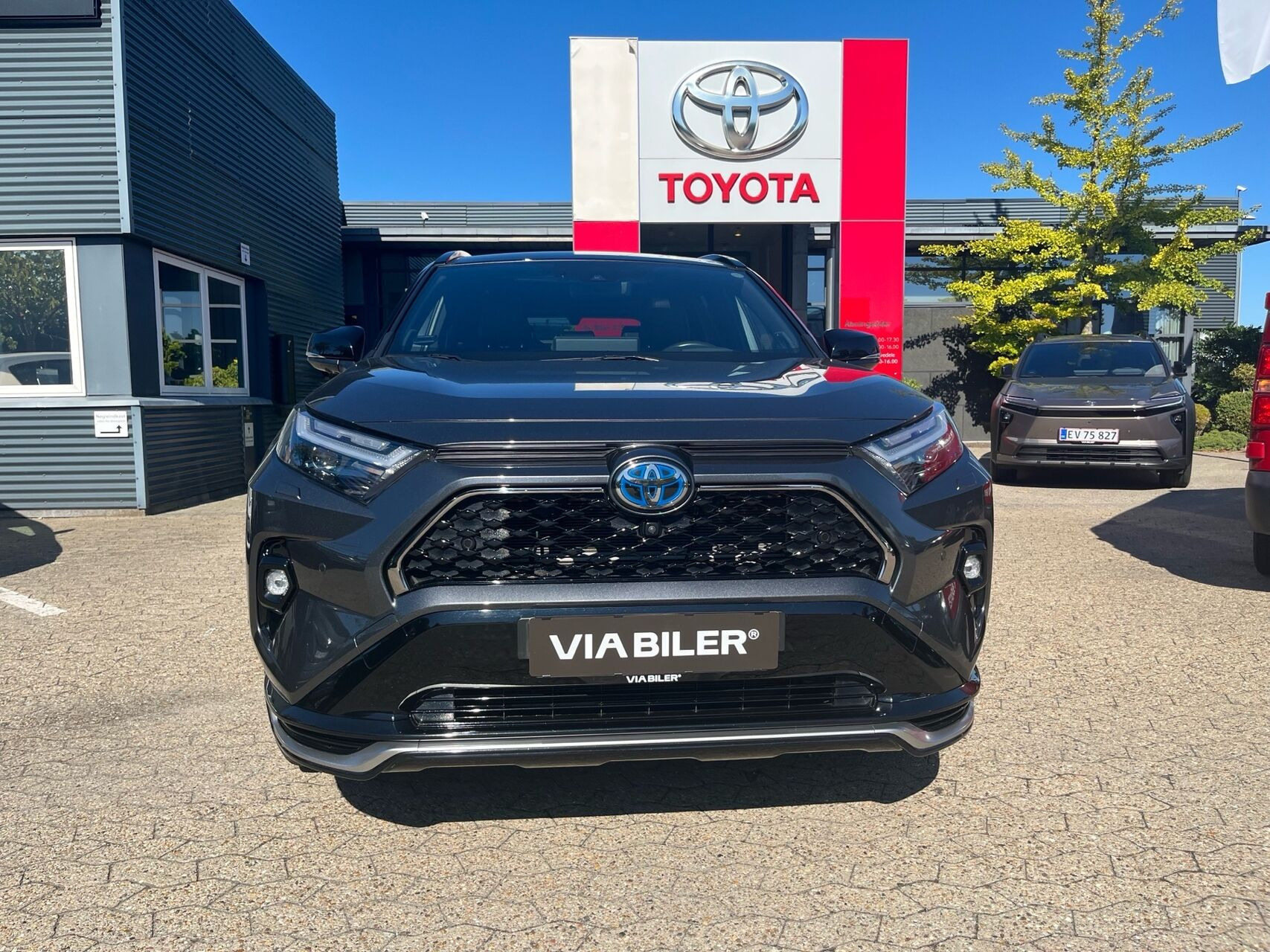 Sort Toyota RAV4 Plug-in fra 2023