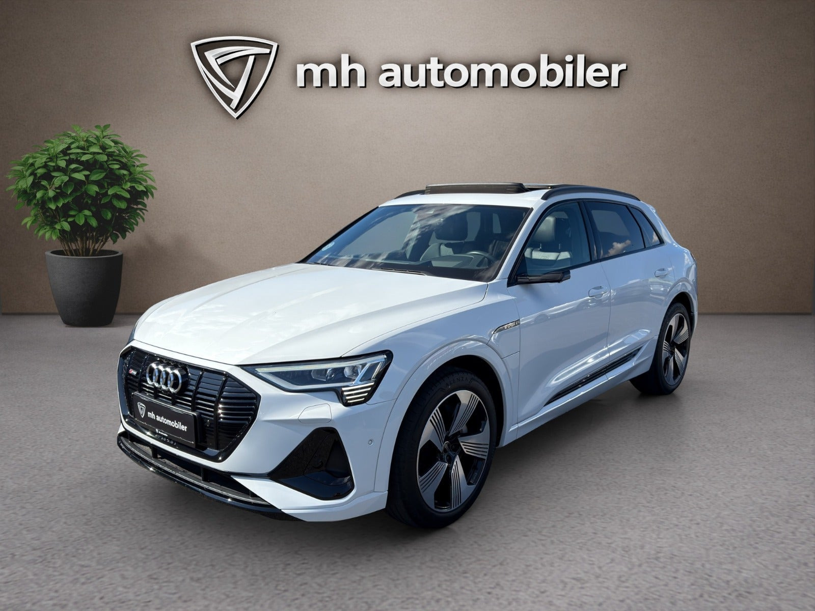 Audi e-tron 55 S-line quattro