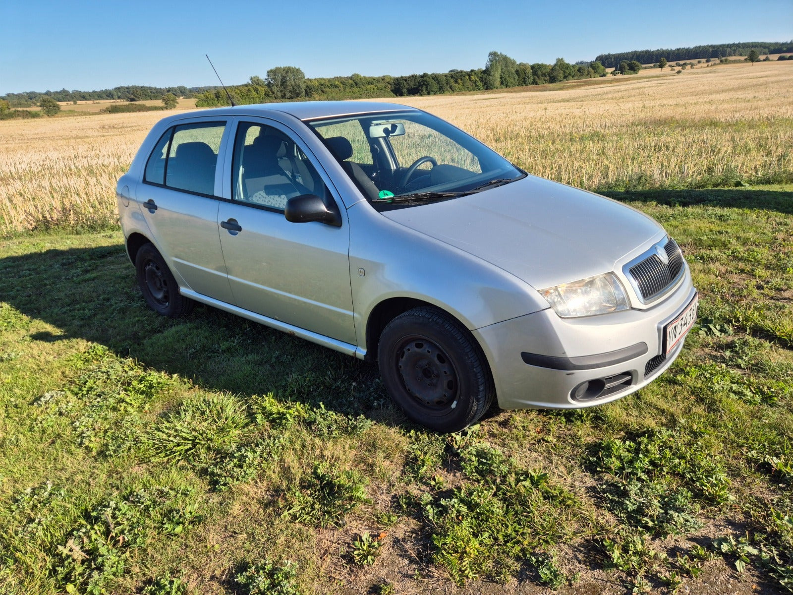 undefined Skoda Fabia fra 2007