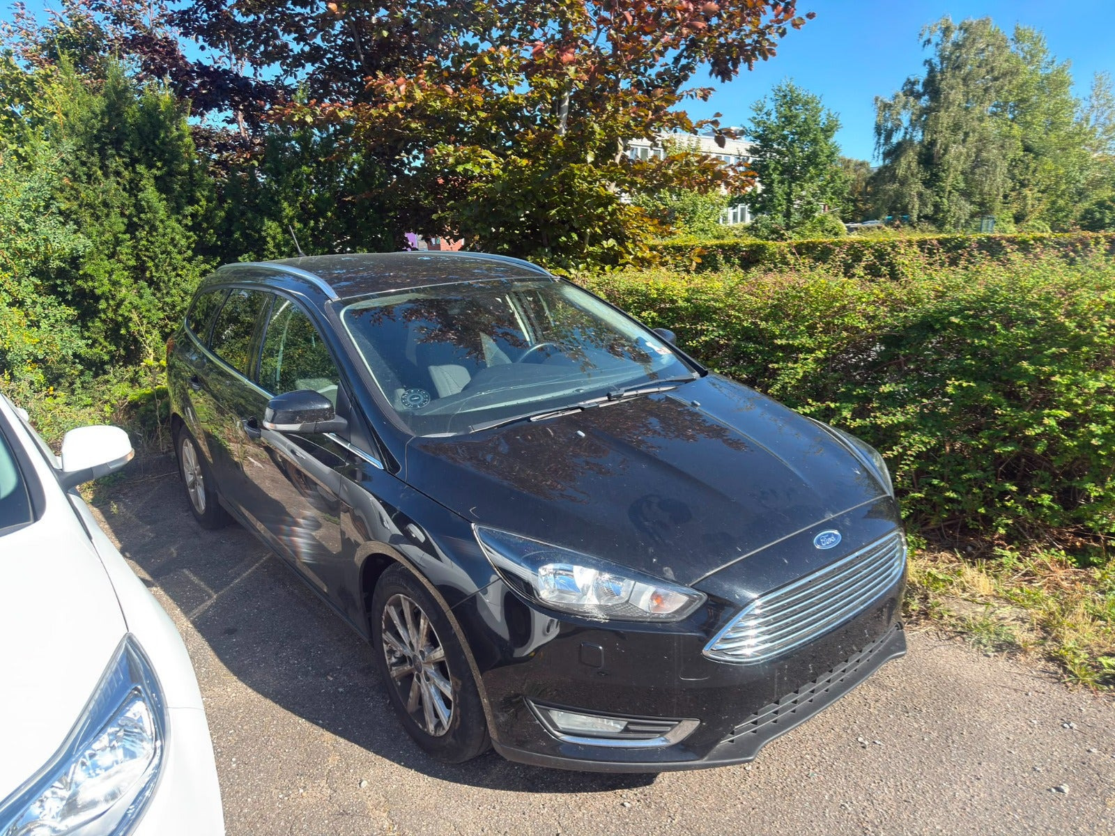 Ford Focus 1,0 SCTi 100 Business stc.