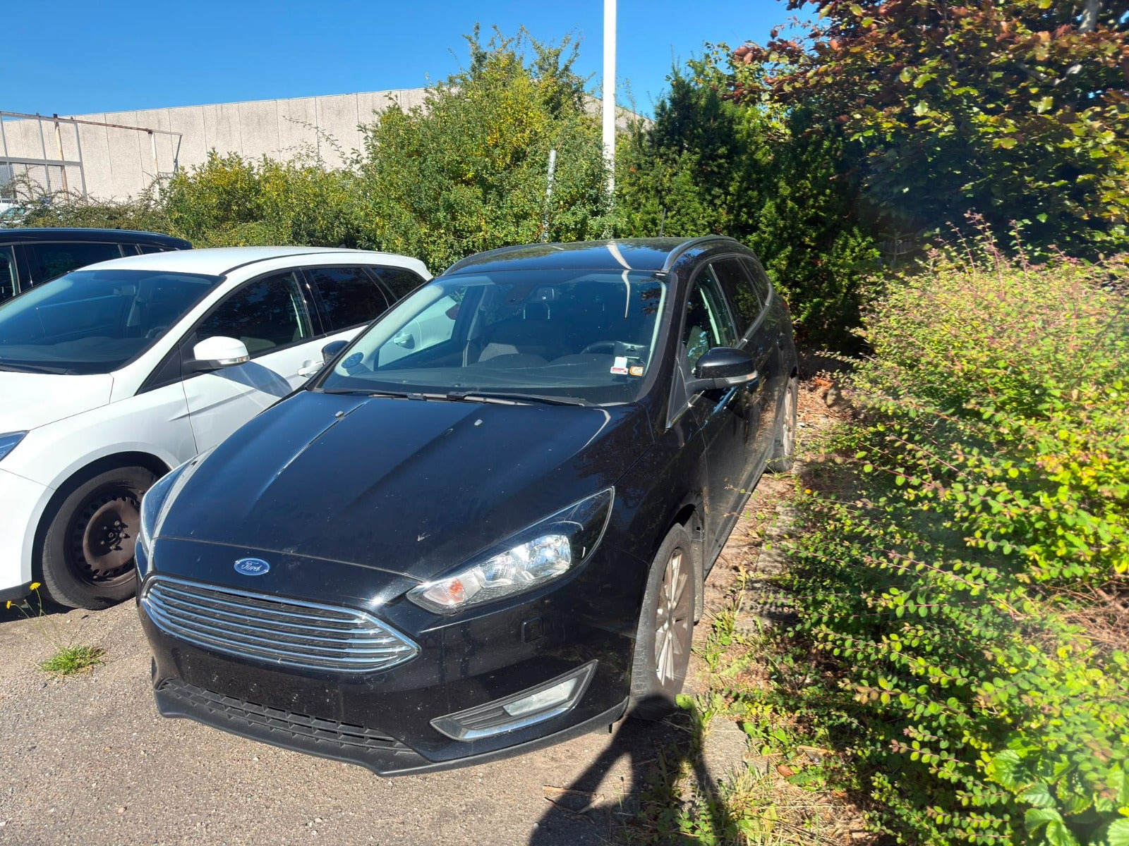 undefined Ford Focus fra 2015