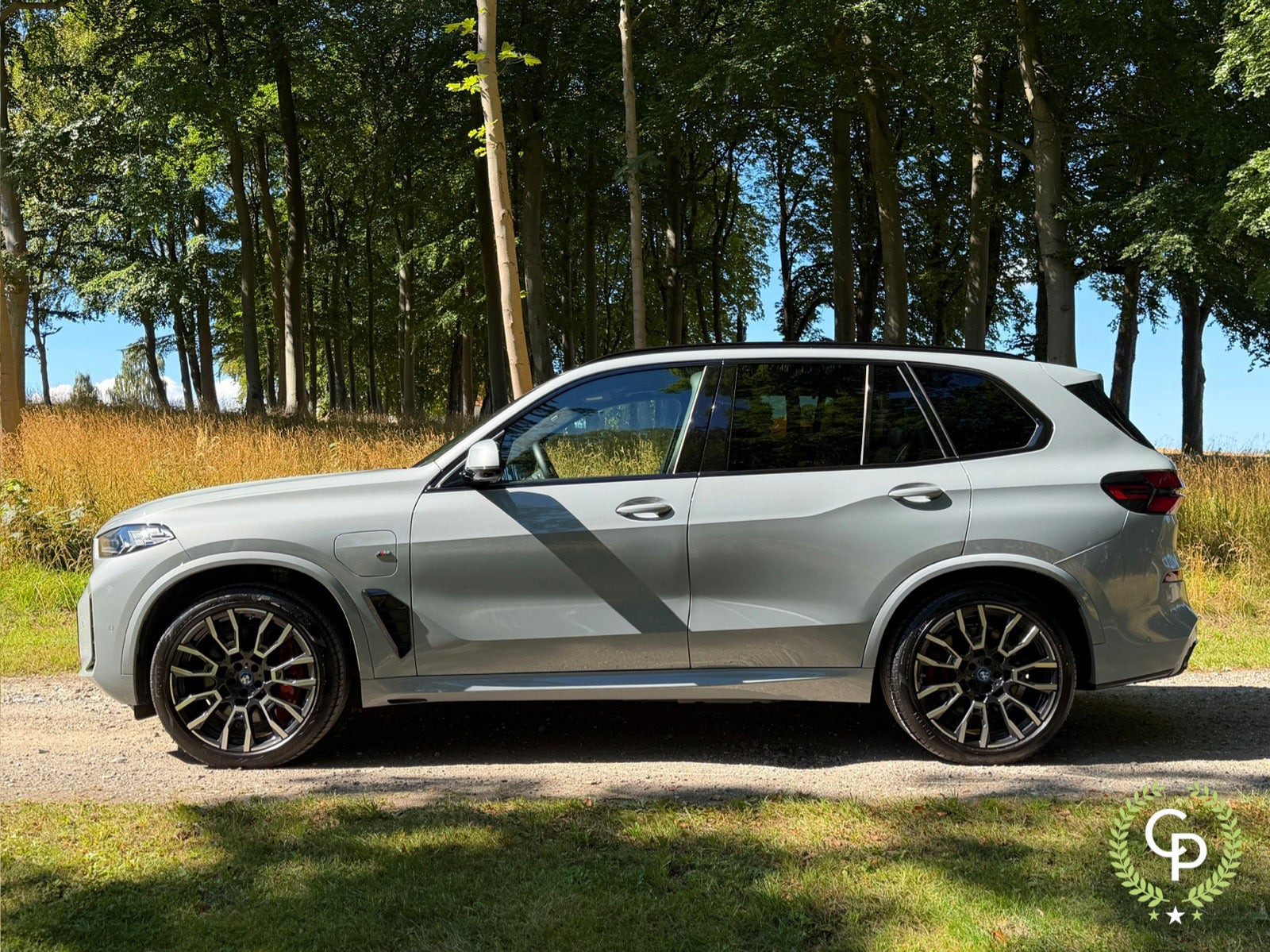 Grå BMW X5 fra 2024