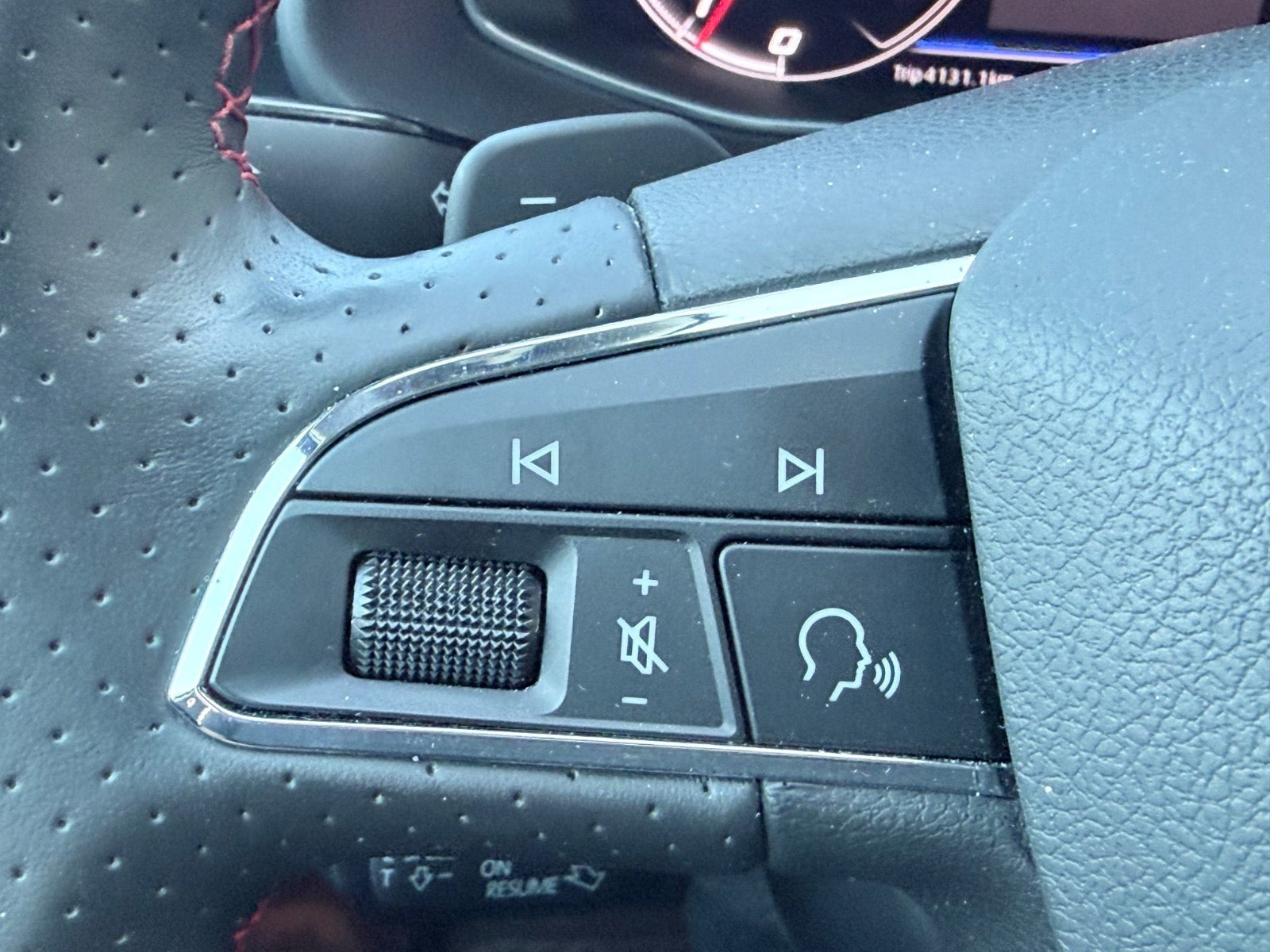 Grå Seat Leon fra 2019
