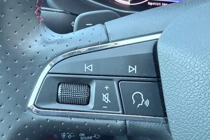 Grå Seat Leon fra 2019