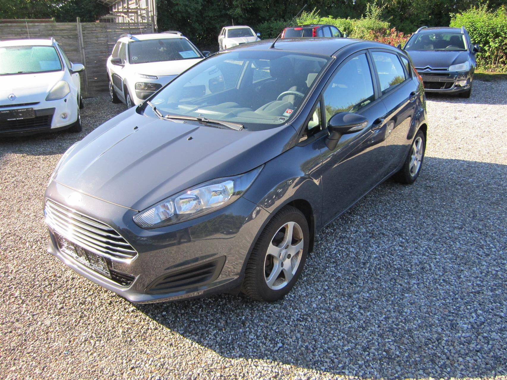 Ford Fiesta 1,0 EcoBoost Trend Start/Stop 100HK 5d