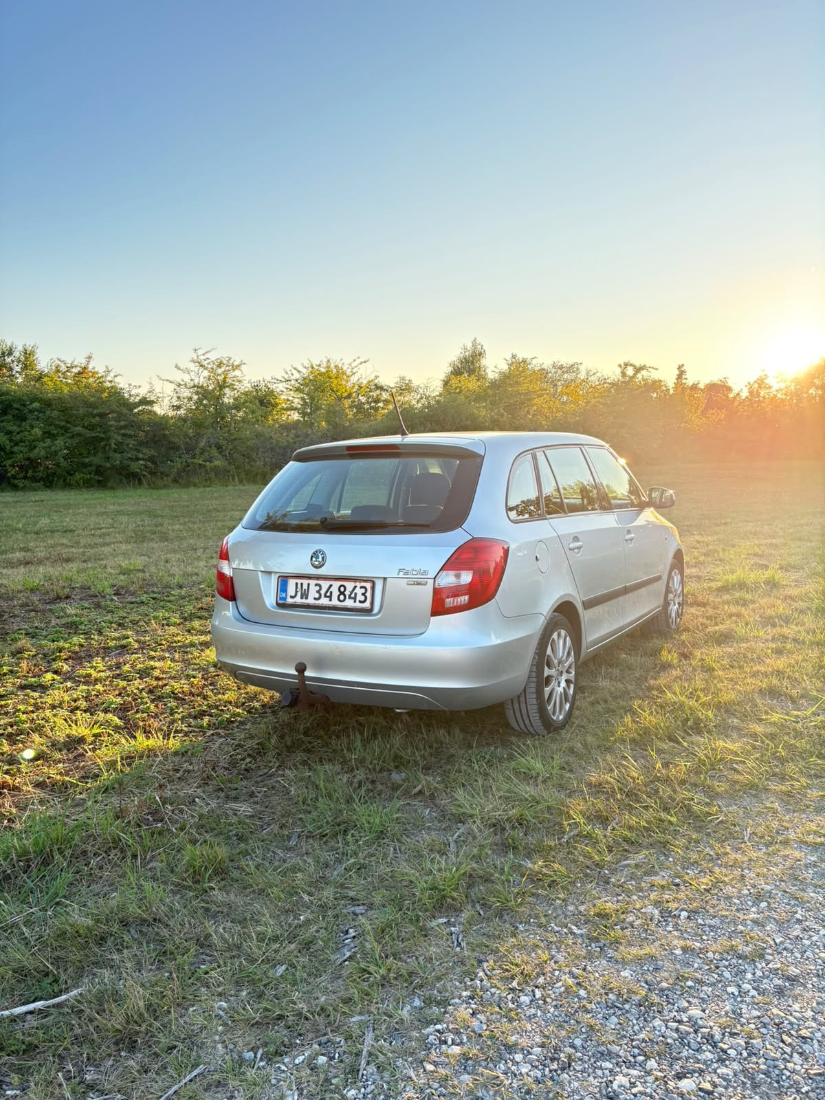 Grå Skoda Fabia fra 2012