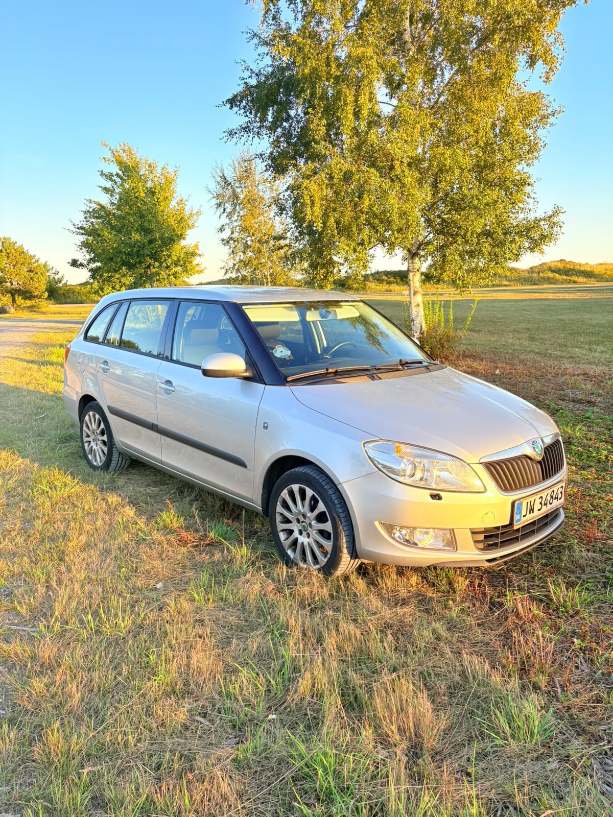 Grå Skoda Fabia fra 2012