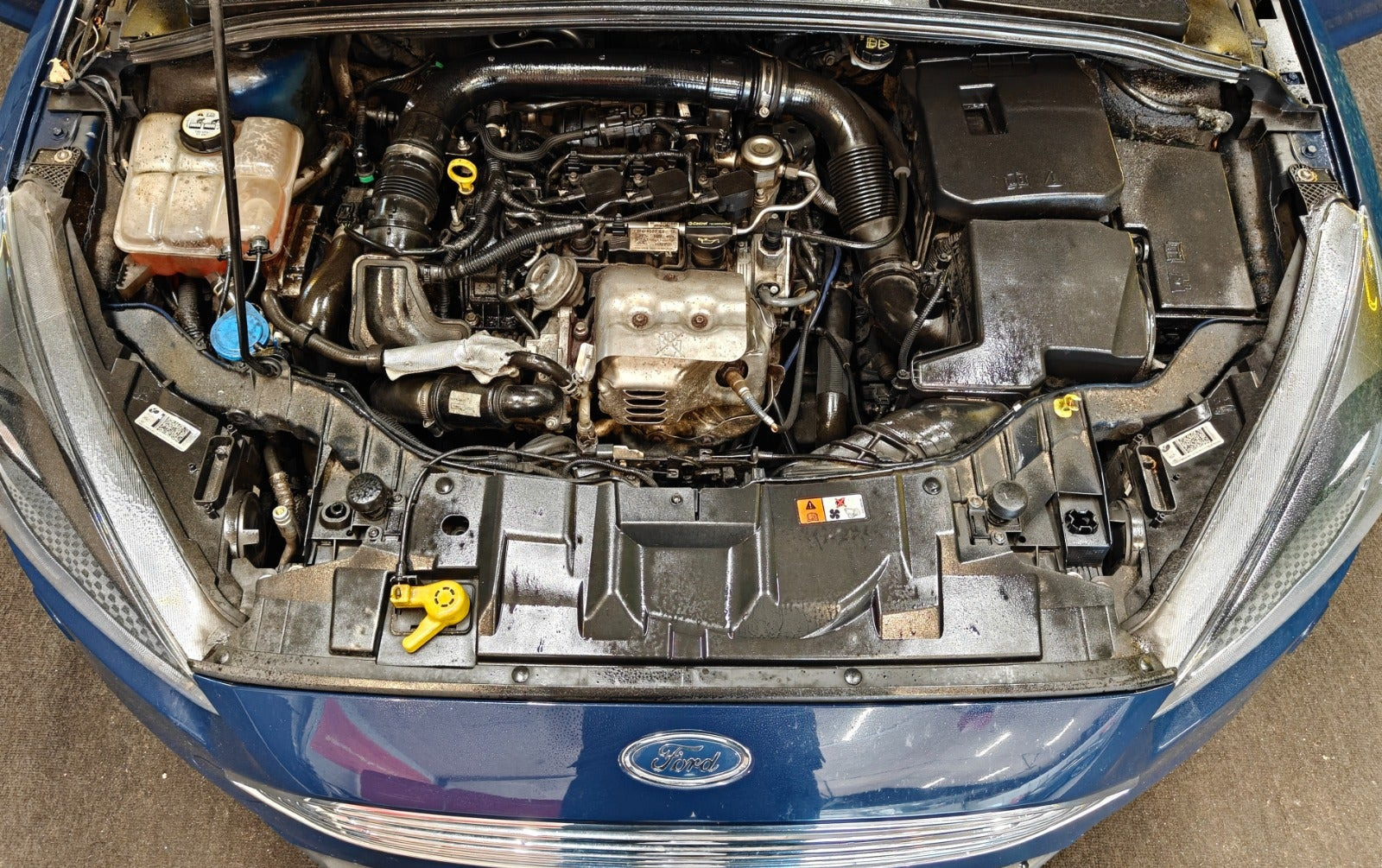 undefined Ford Focus fra 2016