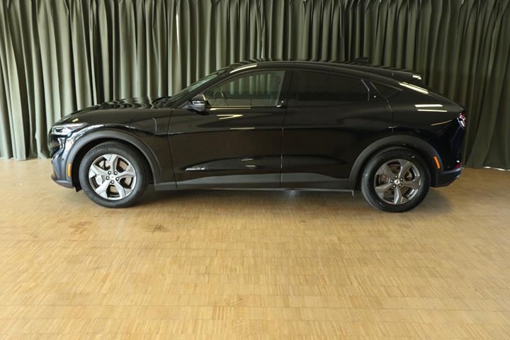 Grøn Ford Mustang Mach-E fra 2022