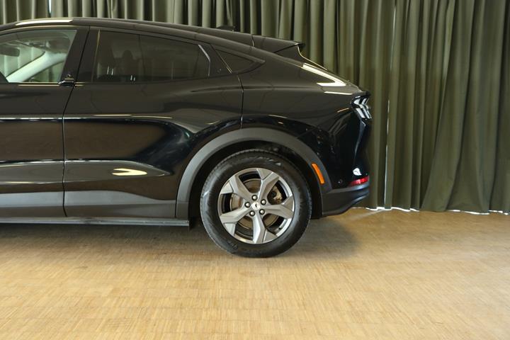 Grøn Ford Mustang Mach-E fra 2022