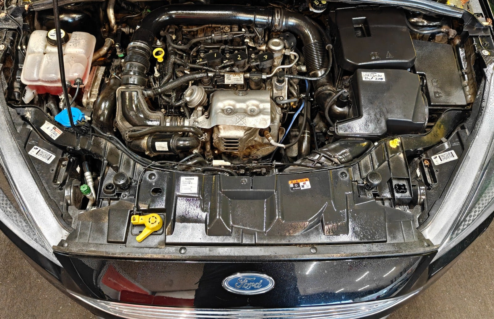 undefined Ford Focus fra 2017