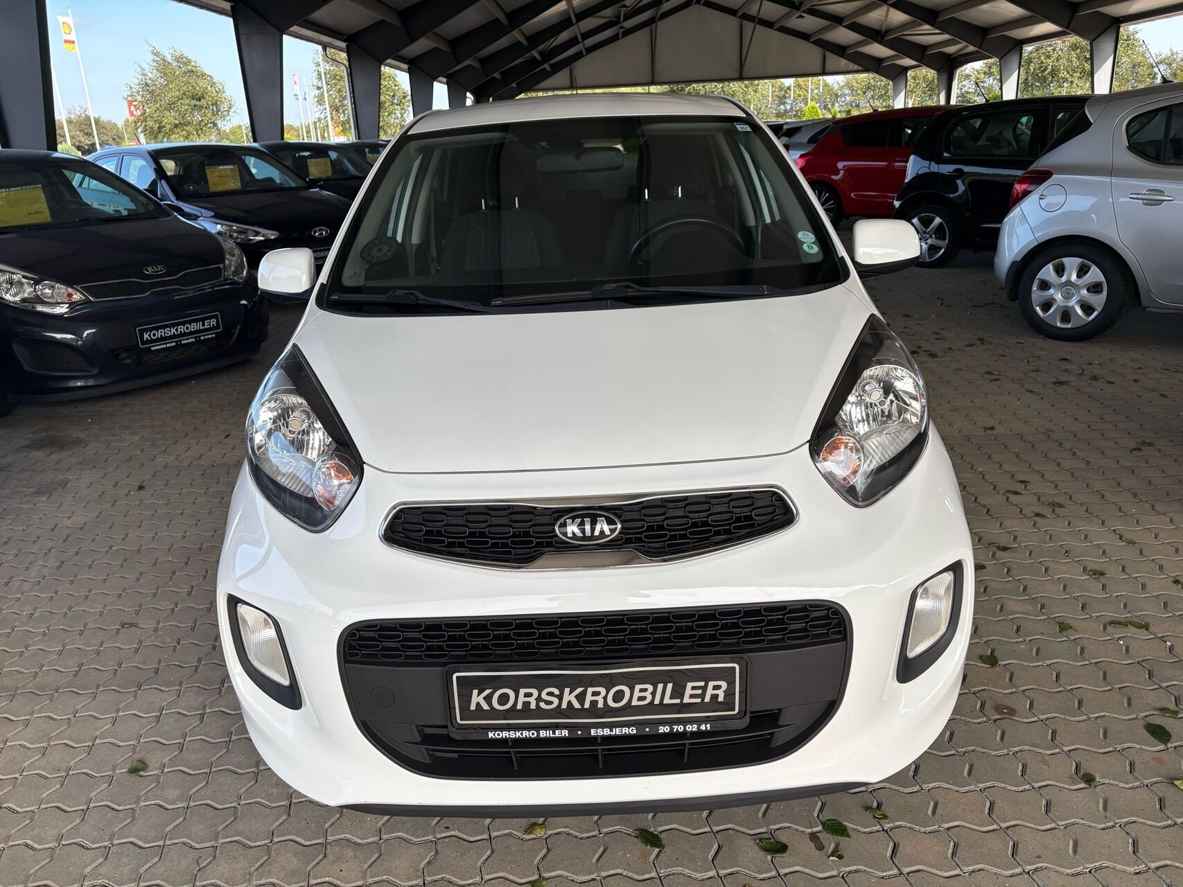 Hvid Kia Picanto fra 2015