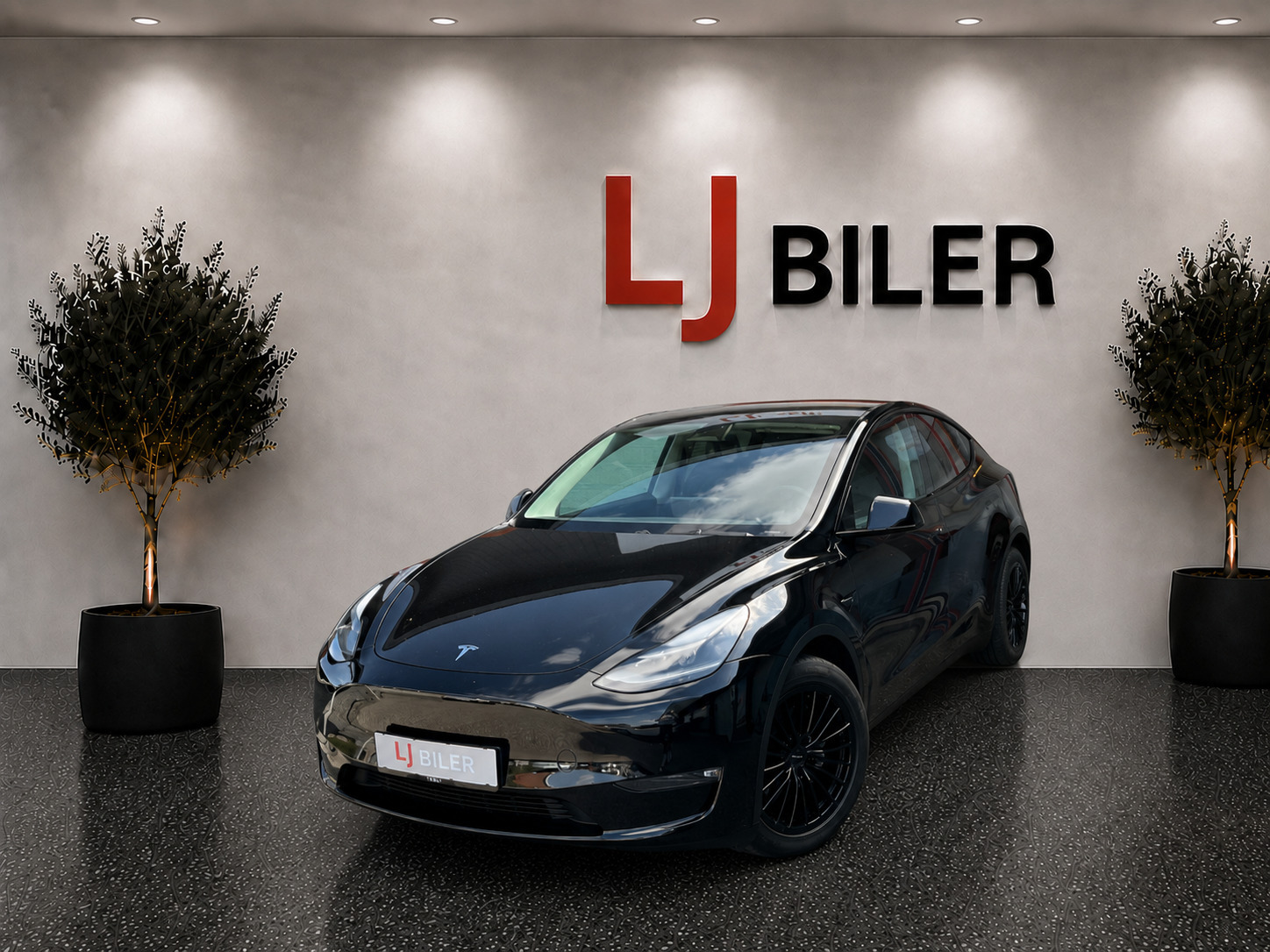 Tesla Model Y Long Range AWD
