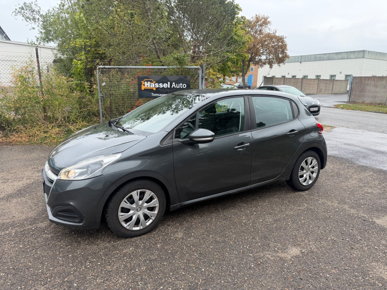 Grøn Peugeot 208 fra 2017