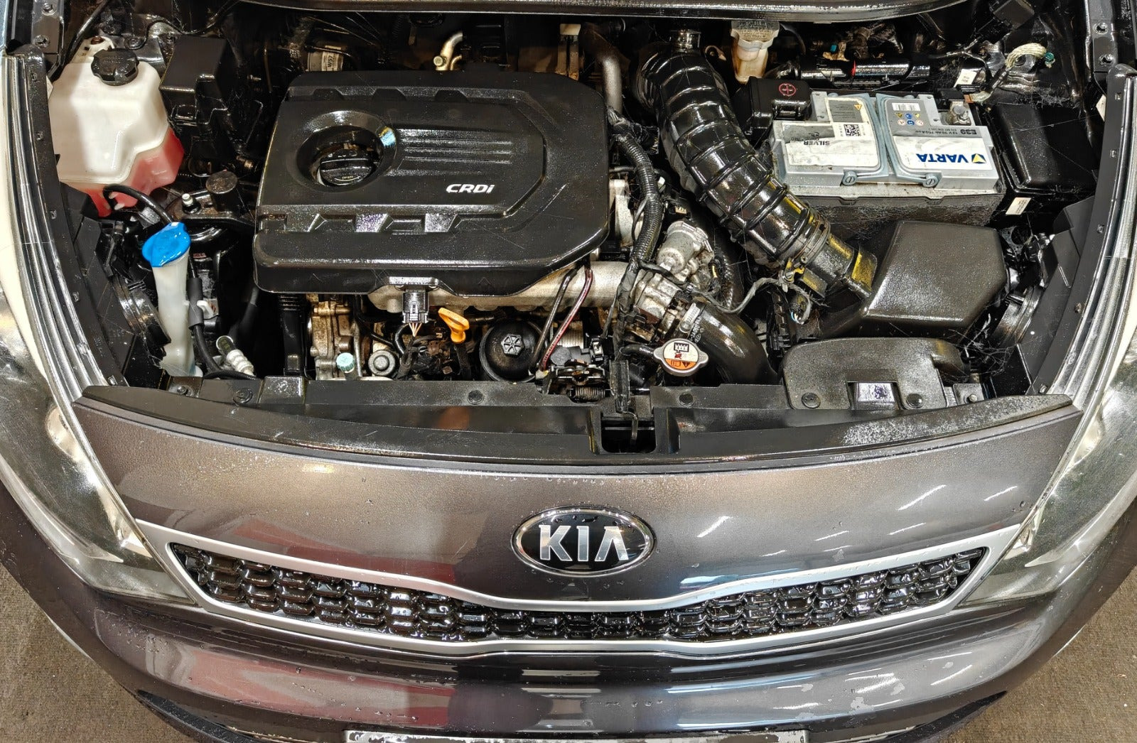 undefined Kia Rio fra 2016