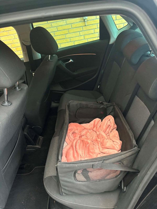 undefined VW Polo fra 2017