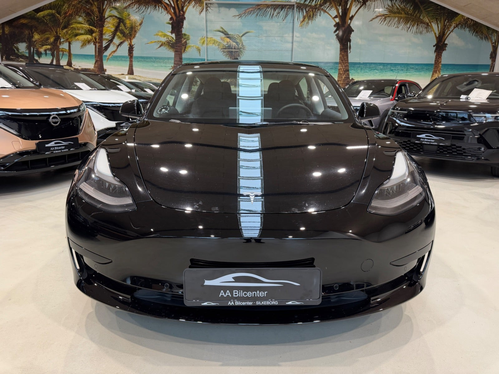 Sort Tesla Model 3 fra 2021