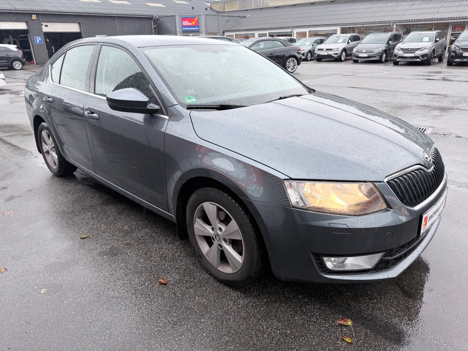 undefined Skoda Octavia fra 2017