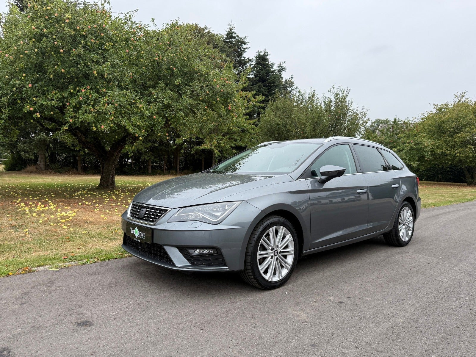 Seat Leon 2,0 TDi 150 Xcellence DSG