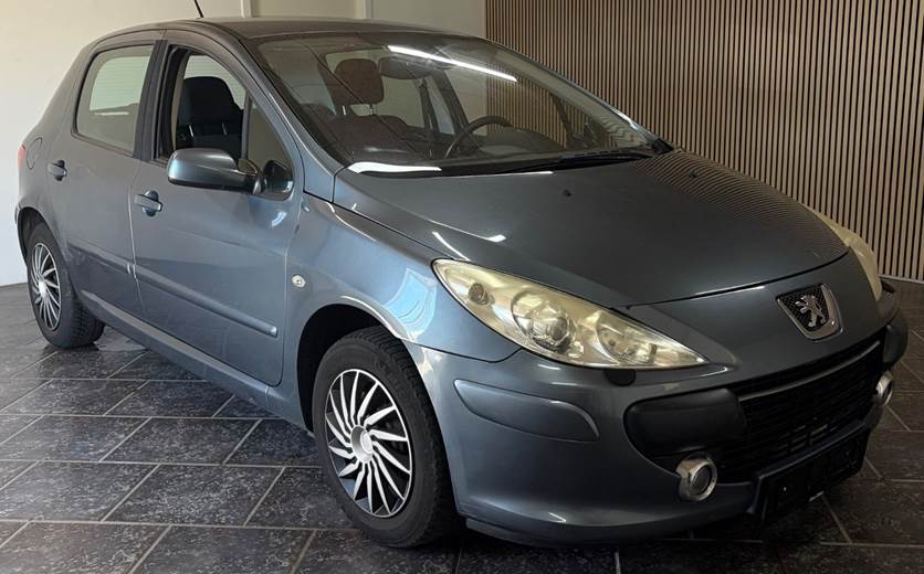 Peugeot 307 1,6