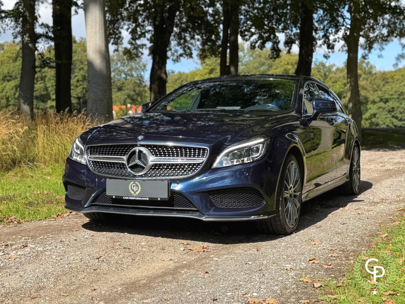 Mercedes CLS250 d 2,2 Shooting Brake aut. 4Matic