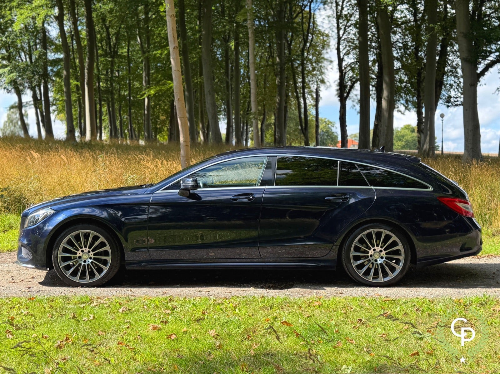Blå Mercedes CLS250 d fra 2017