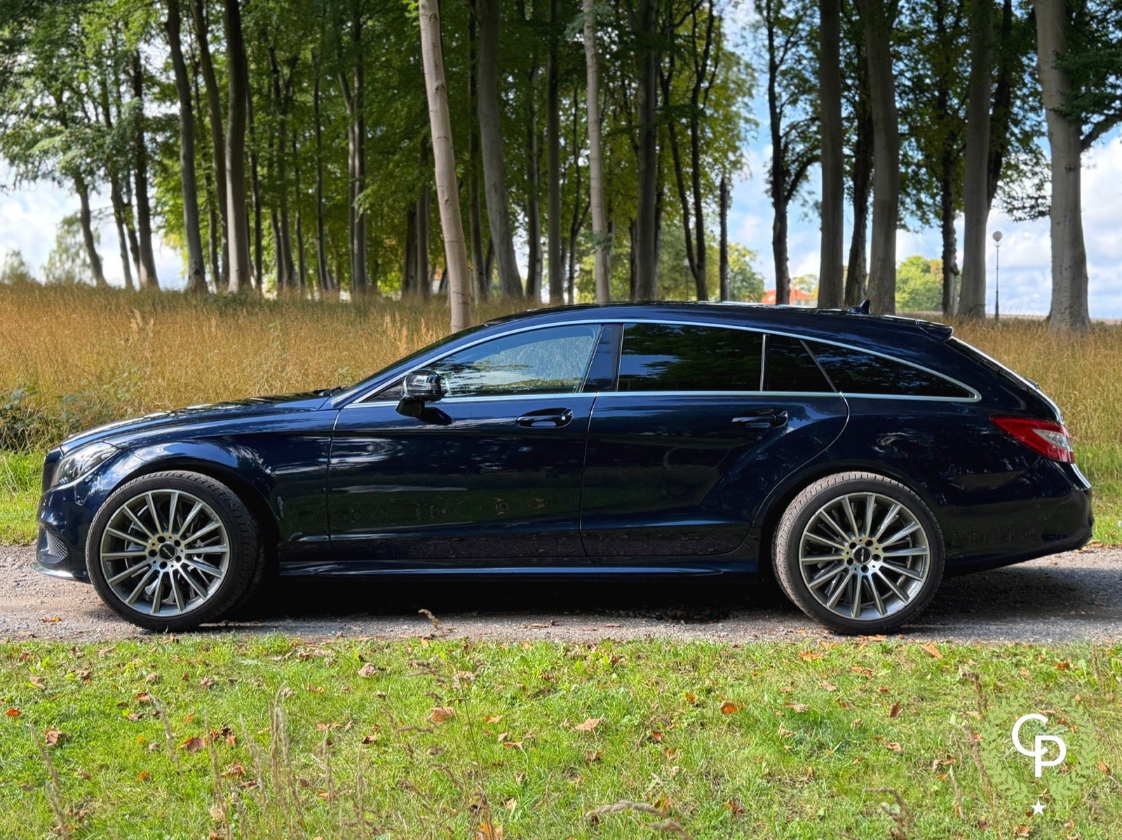 Blå Mercedes CLS250 d fra 2017
