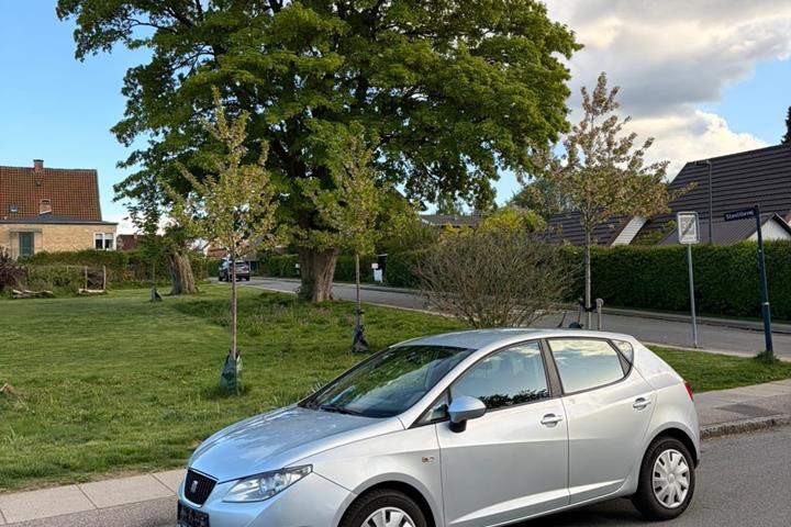 Grøn Seat Ibiza fra 2009