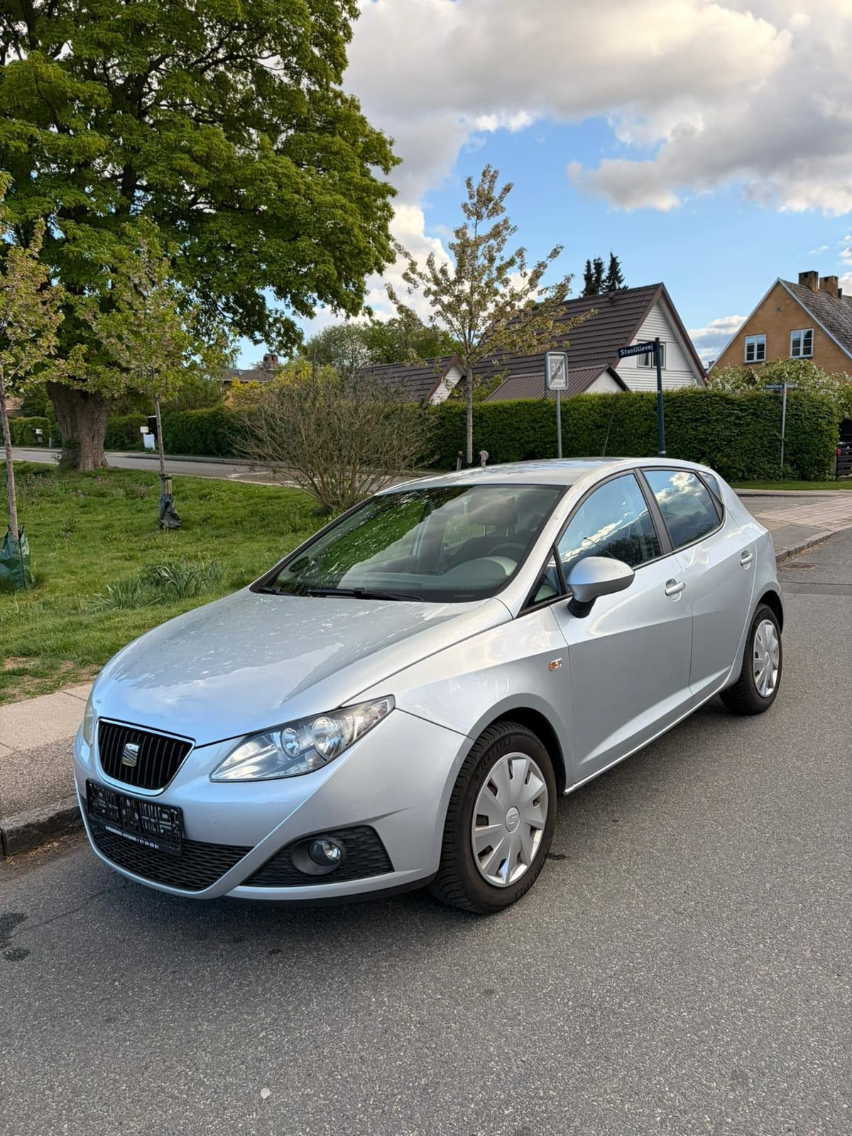 Grøn Seat Ibiza fra 2009