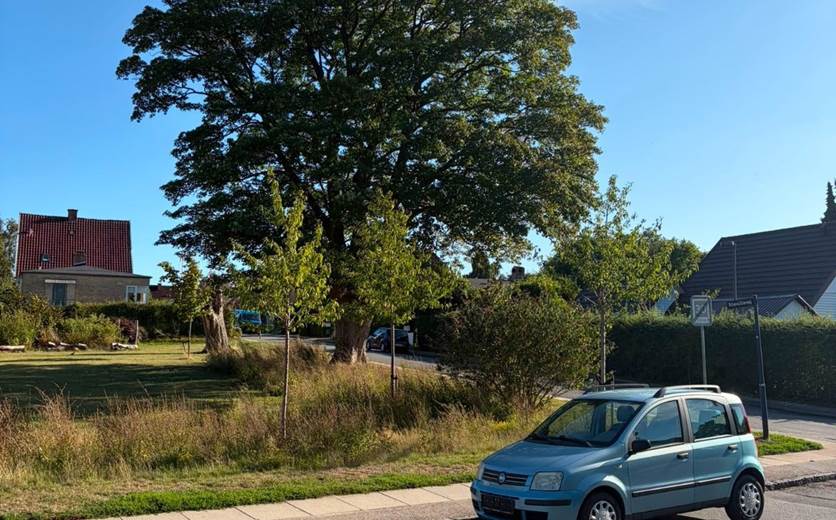 Fiat Panda 1,2 Dynamic