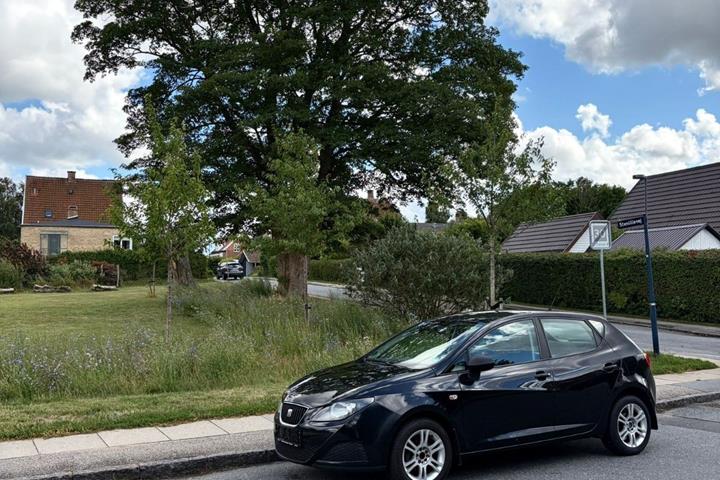 undefined Seat Ibiza fra 2009