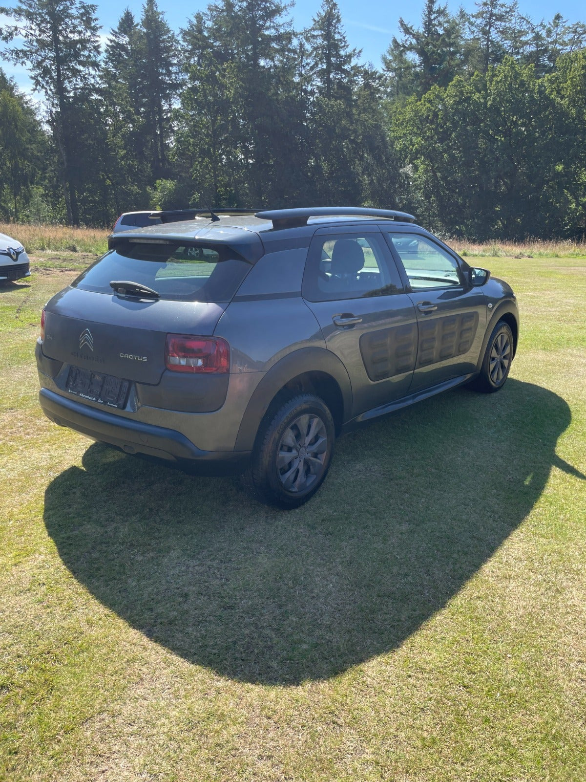 undefined Citroën C4 Cactus fra 2016