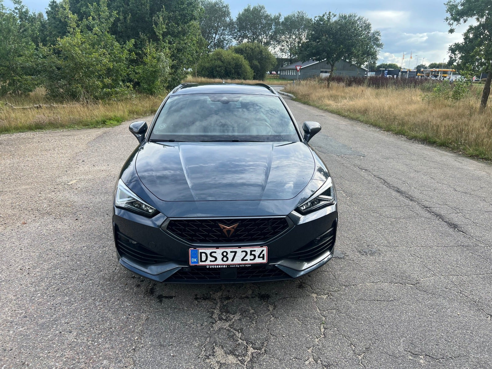 Grå Cupra Leon fra 2020