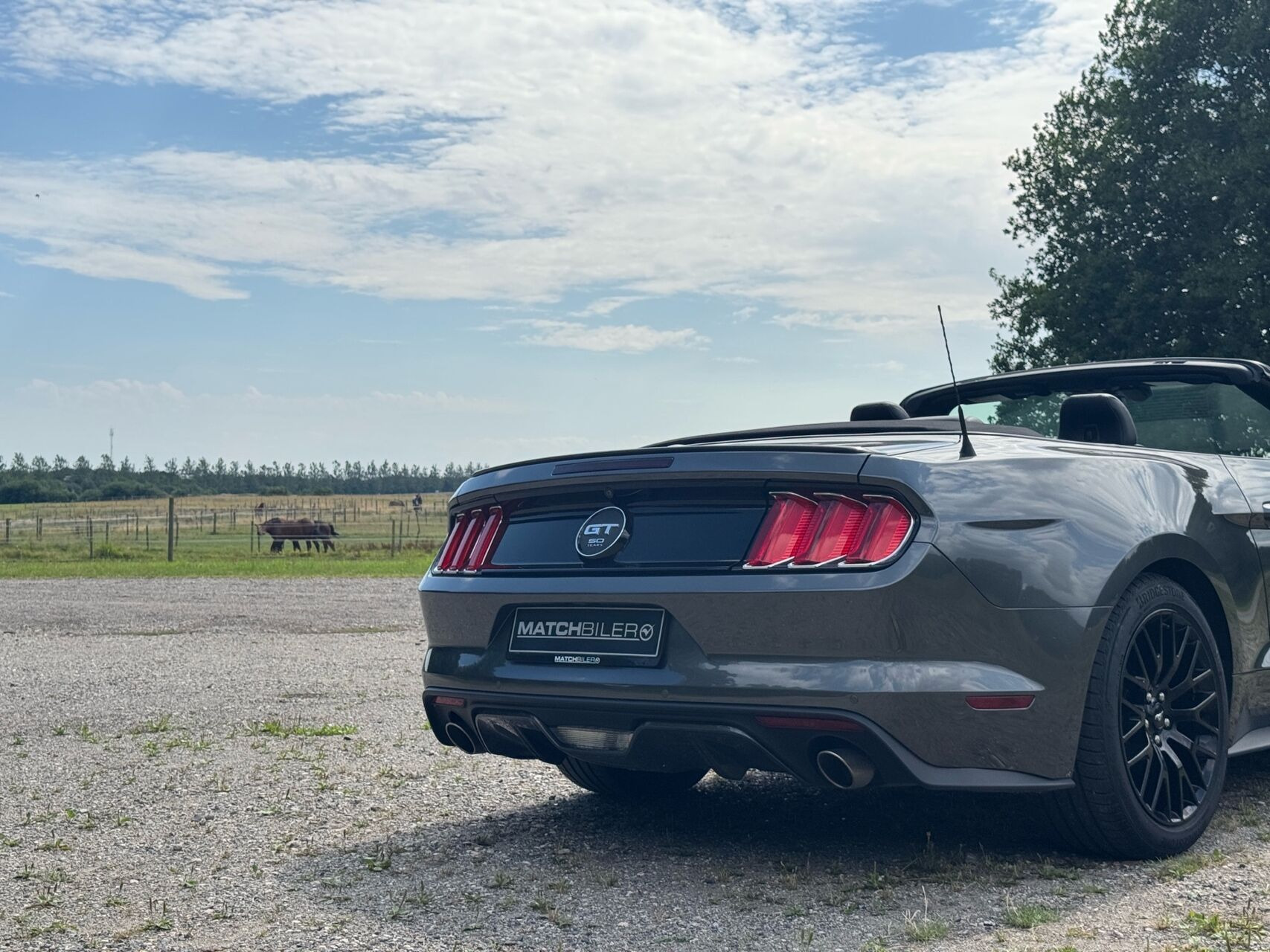 Grå Ford Mustang fra 2015