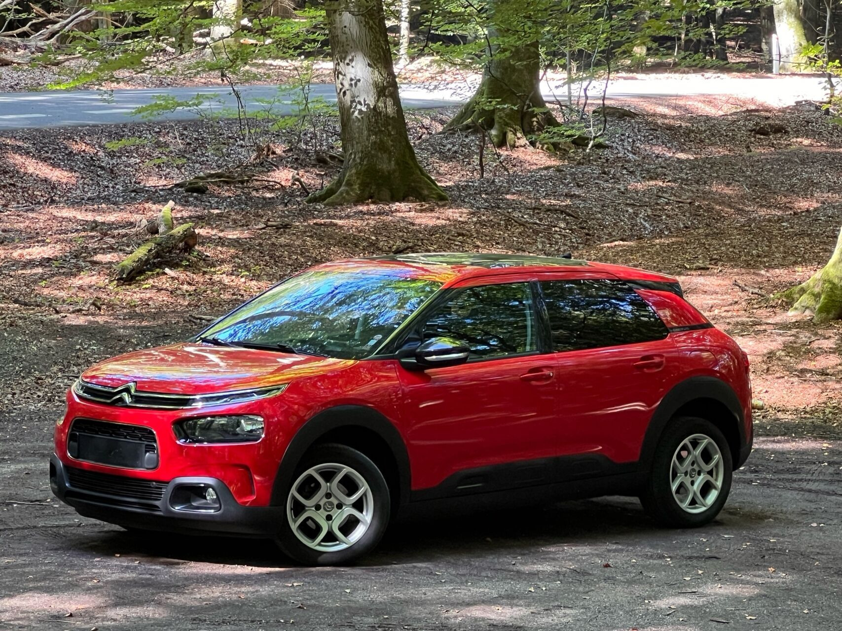 Citroën C4 Cactus 1,2 PureTech Skyline EAT6 110HK 5d 6g Aut.