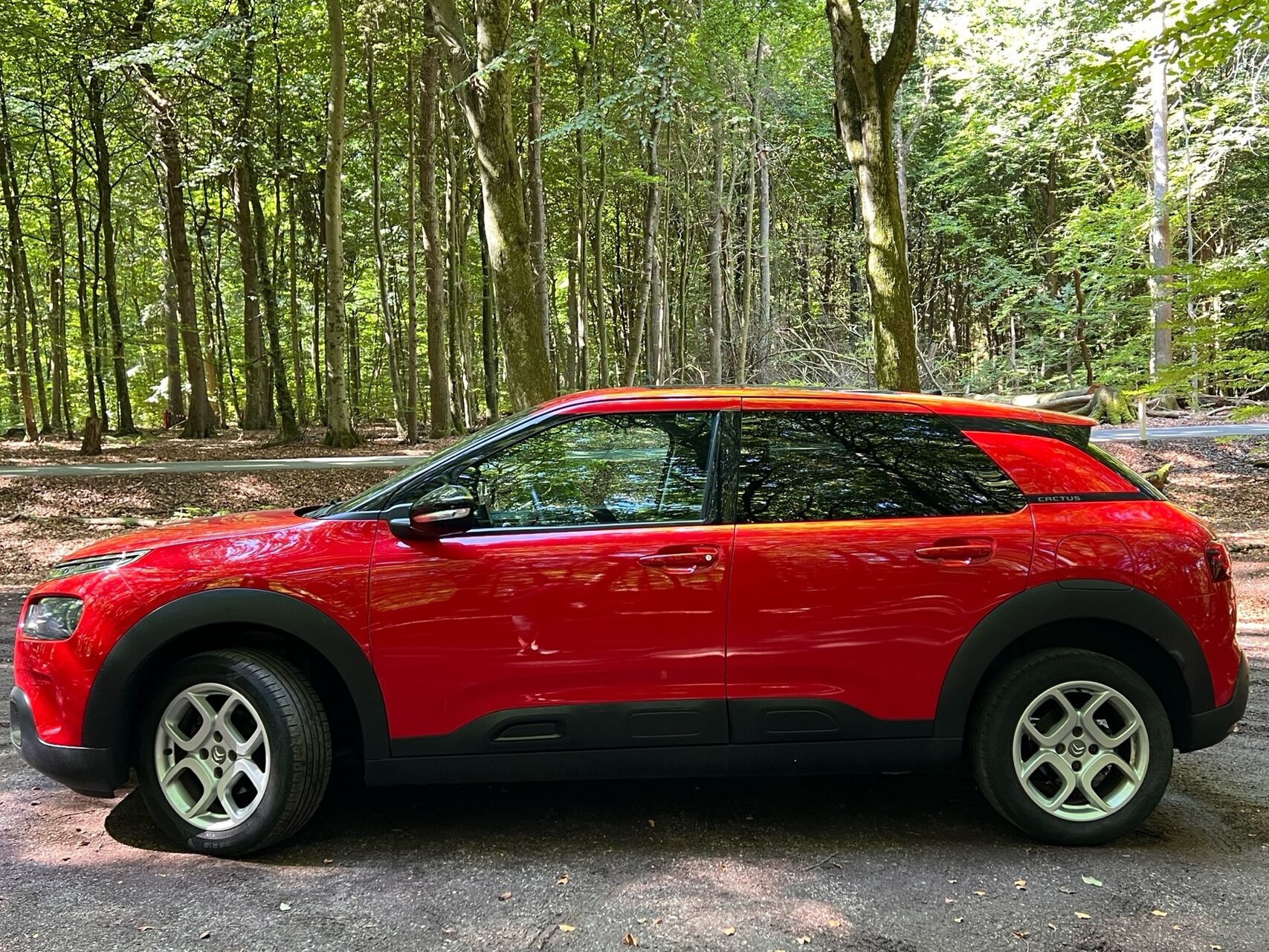 undefined Citroën C4 Cactus fra 2018