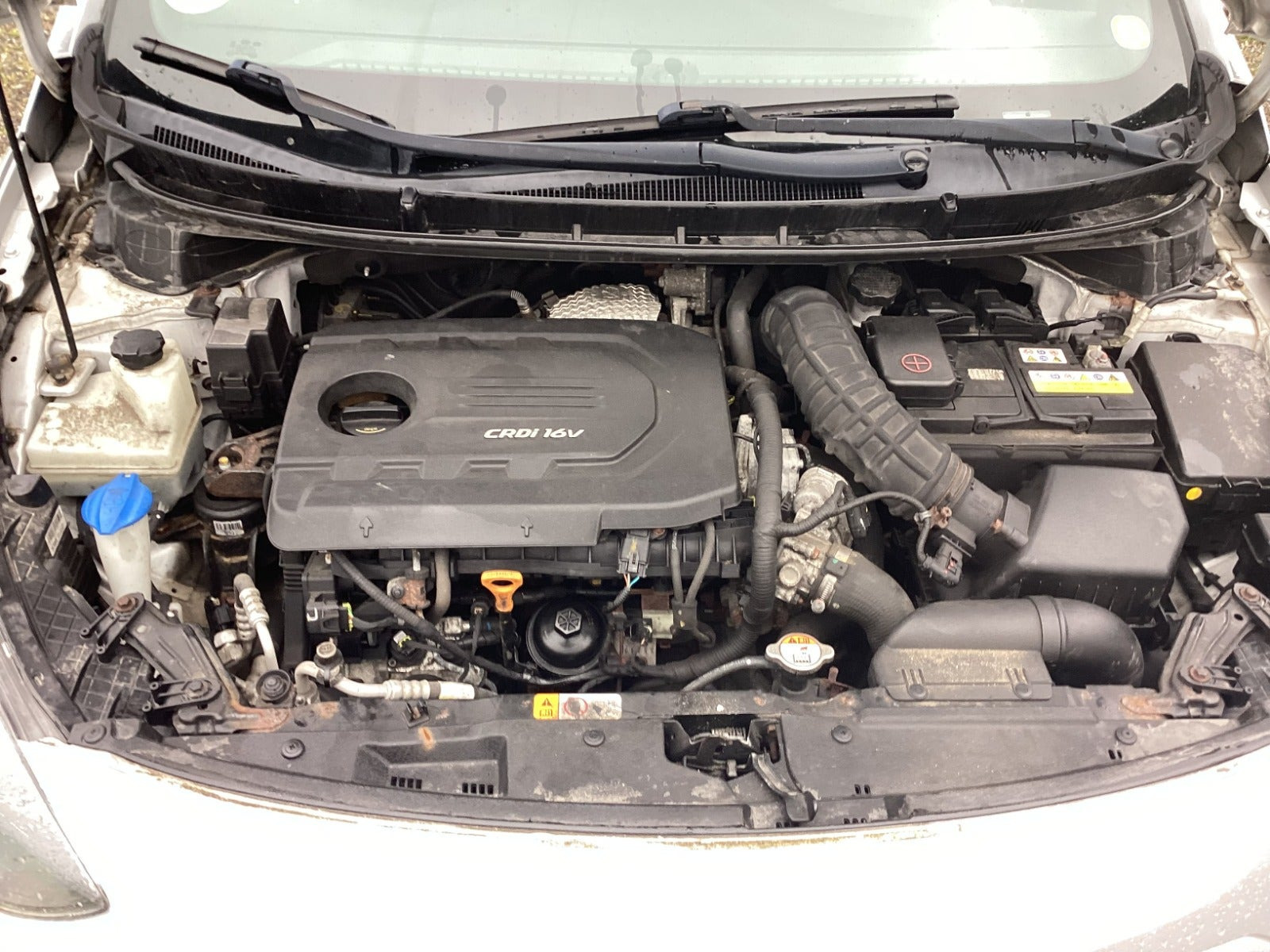 Grøn Hyundai i30 fra 2016