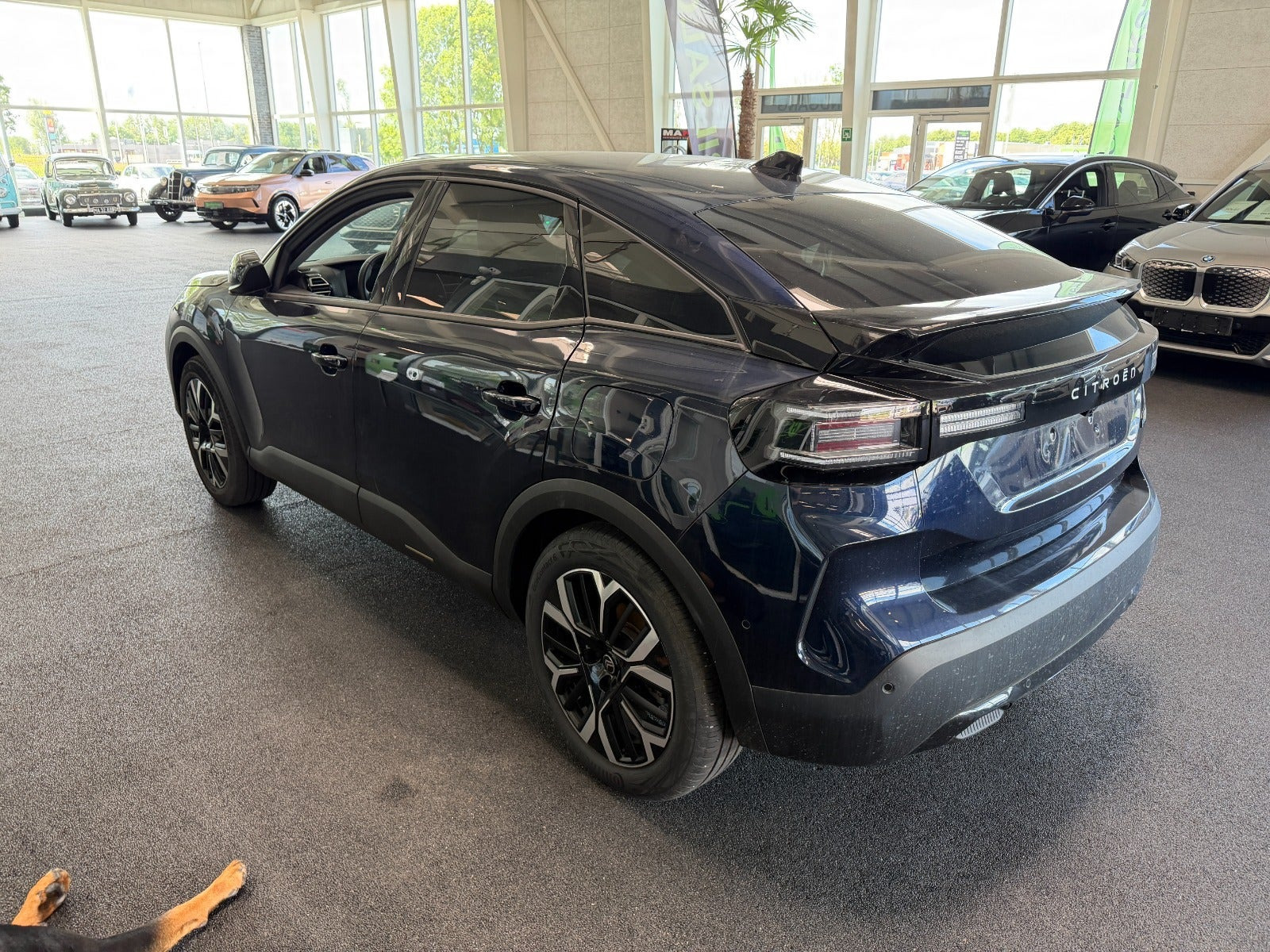 Blå Citroën ë-C4 fra 2025