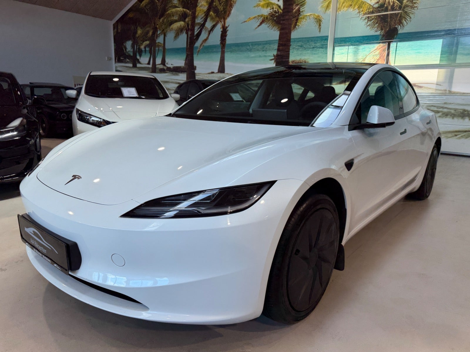 Tesla Model 3 Standard RWD
