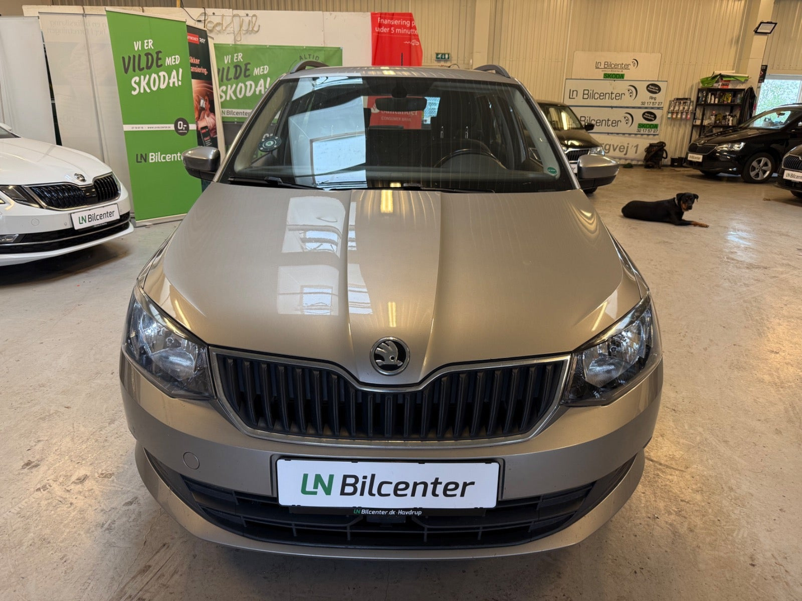 Beige Skoda Fabia fra 2016