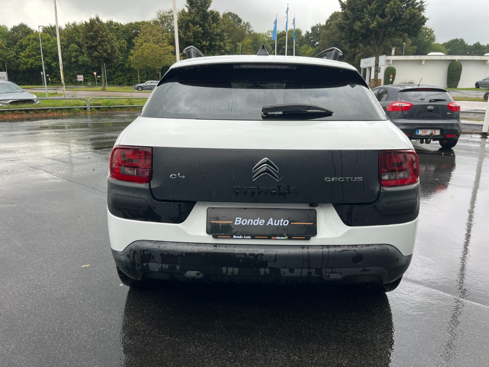Hvid Citroën C4 Cactus fra 2017