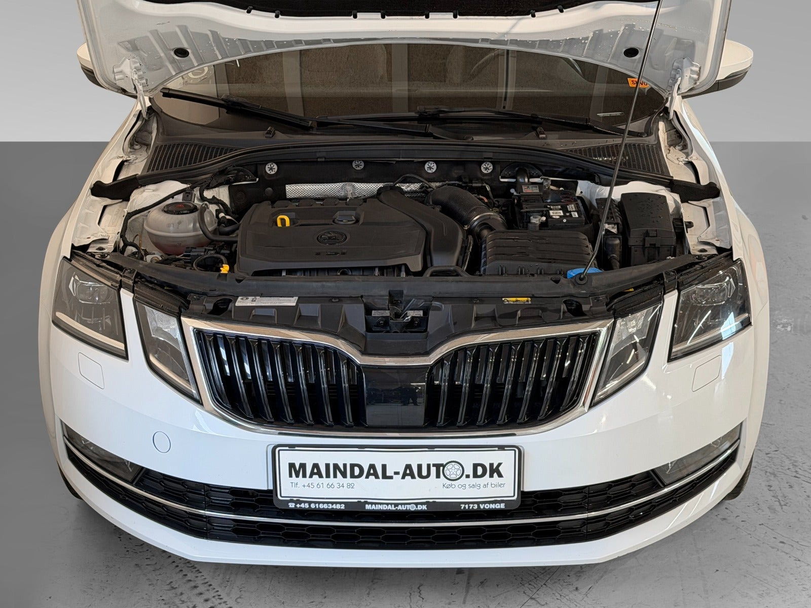 undefined Skoda Octavia fra 2018