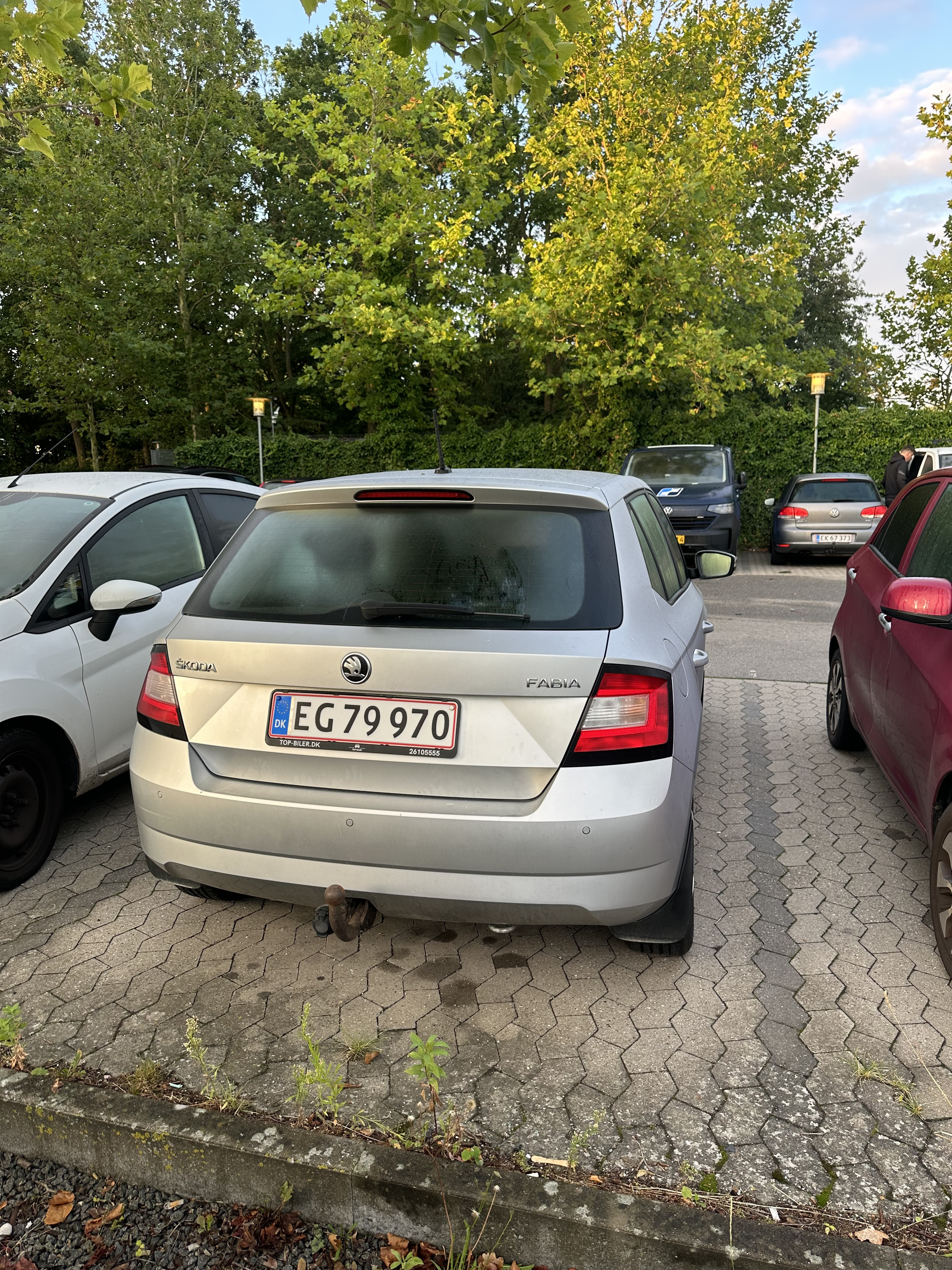 Grå Skoda Fabia fra 2016