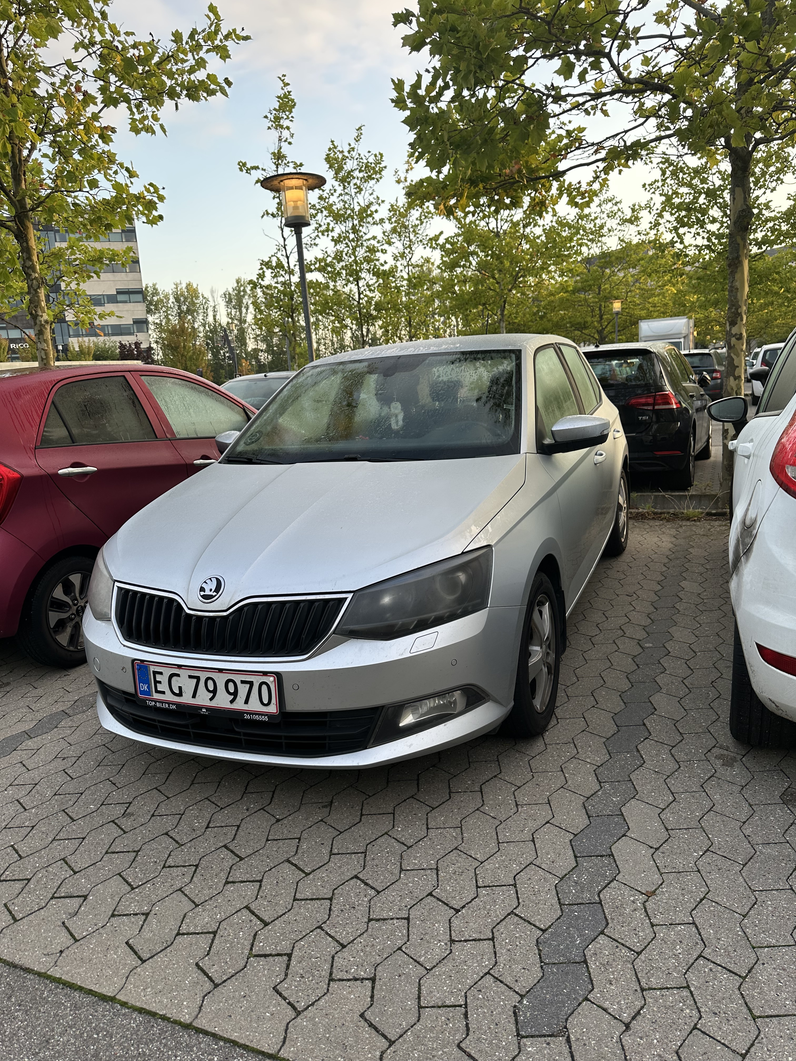 Grå Skoda Fabia fra 2016