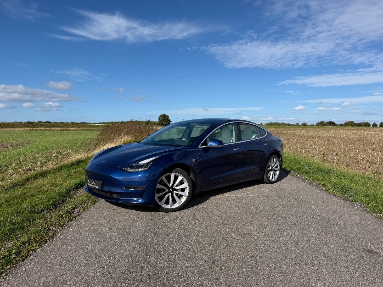 Blå Tesla Model 3 fra 2020