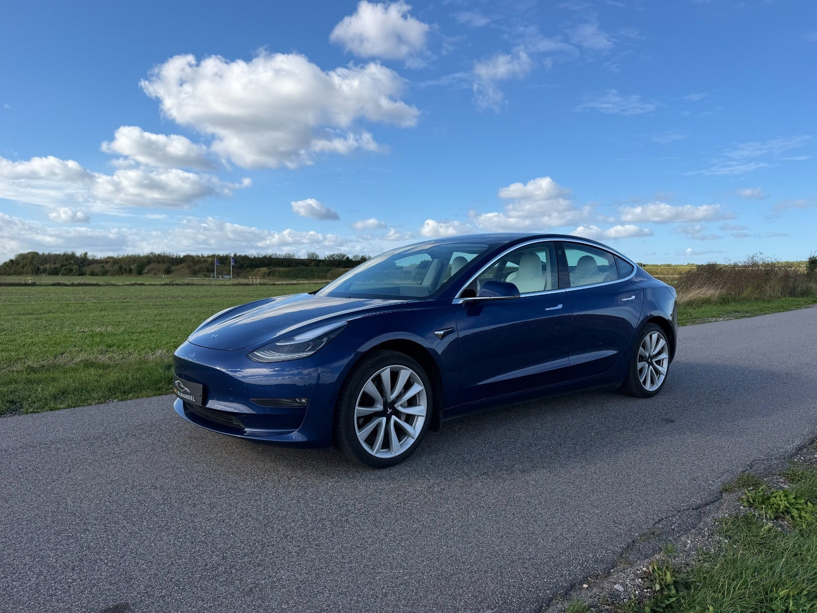 Blå Tesla Model 3 fra 2020