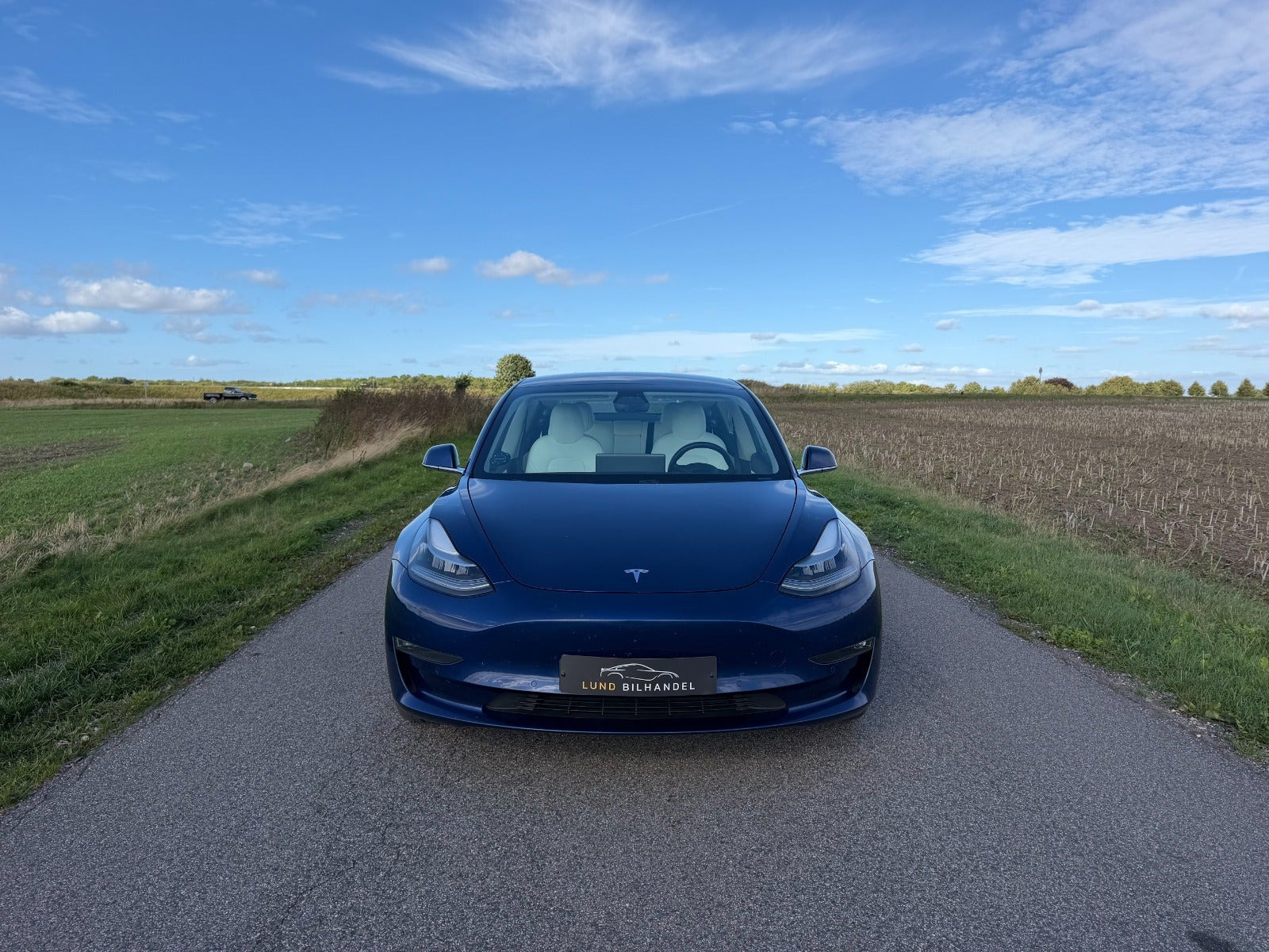 Blå Tesla Model 3 fra 2020