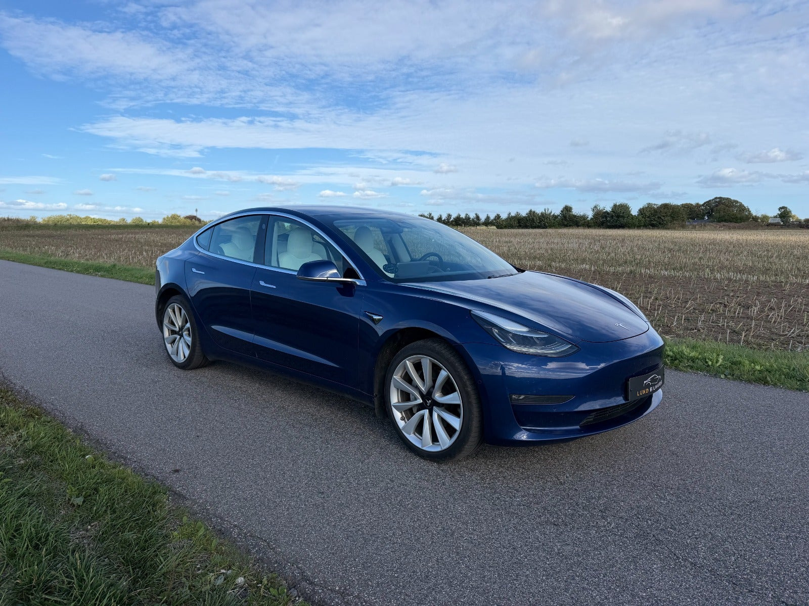 Blå Tesla Model 3 fra 2020